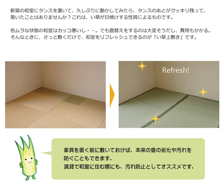 純国産い草上敷きカーペット双目織松団地間3畳約170×255cm