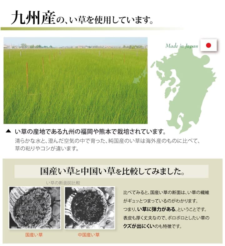 純国産い草上敷きカーペット双目織松江戸間4.5畳約261×261cm