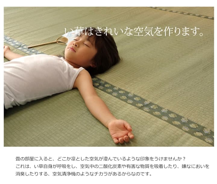 純国産い草上敷きカーペット双目織松本間3畳約191×286cm