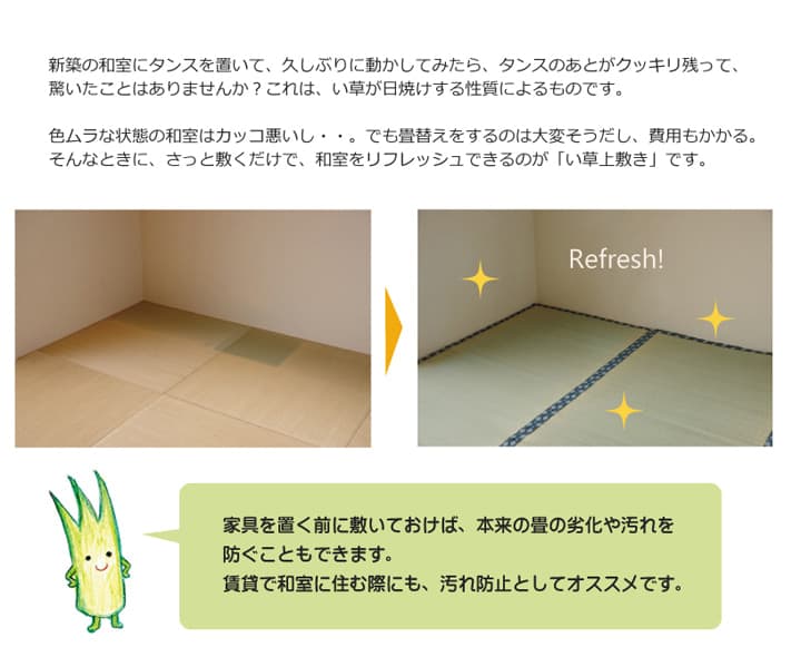 純国産い草上敷きカーペット双目織ほほえみ江戸間4.5畳約261×261cm