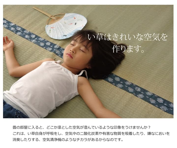 純国産い草上敷きカーペット双目織ほほえみ江戸間3畳約176×261cm
