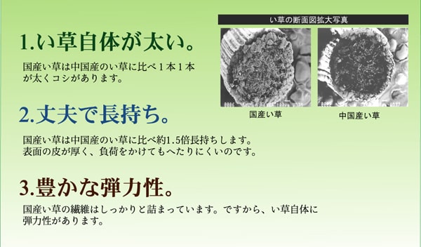 純国産い草上敷きカーペット糸引織岩木江戸間4.5畳約261×261cm