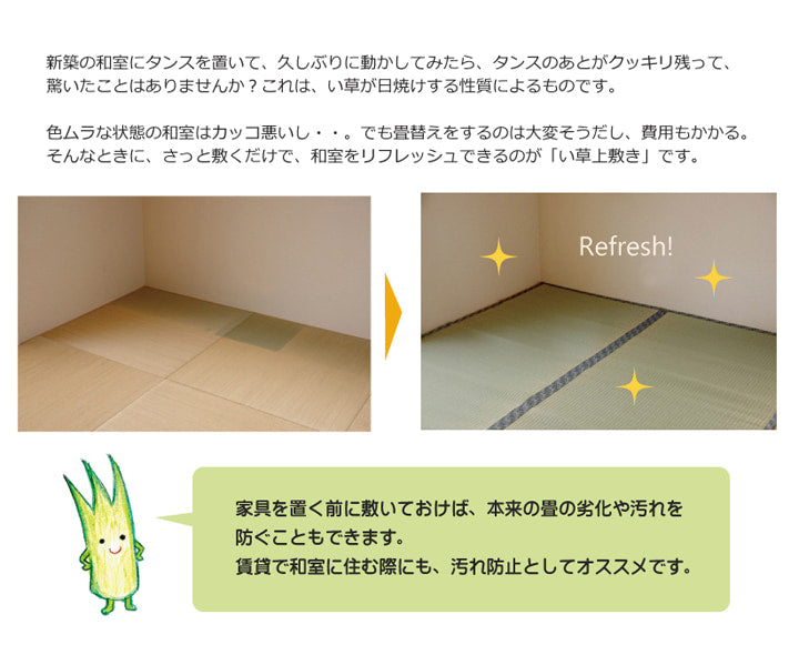純国産い草上敷きカーペット糸引織柿田川江戸間6畳約261×352cm