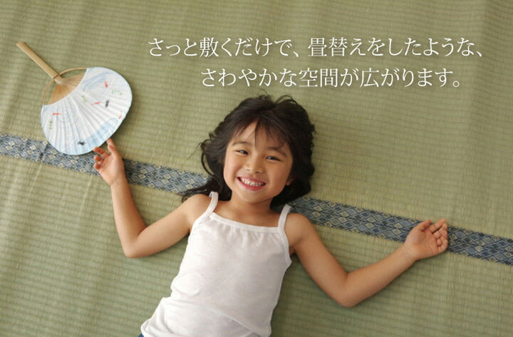 純国産い草上敷きカーペット糸引織柿田川江戸間6畳約261×352cm