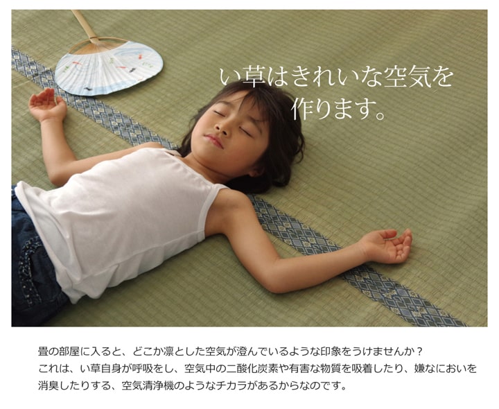 純国産い草上敷きカーペット糸引織柿田川江戸間2畳約176×176cm