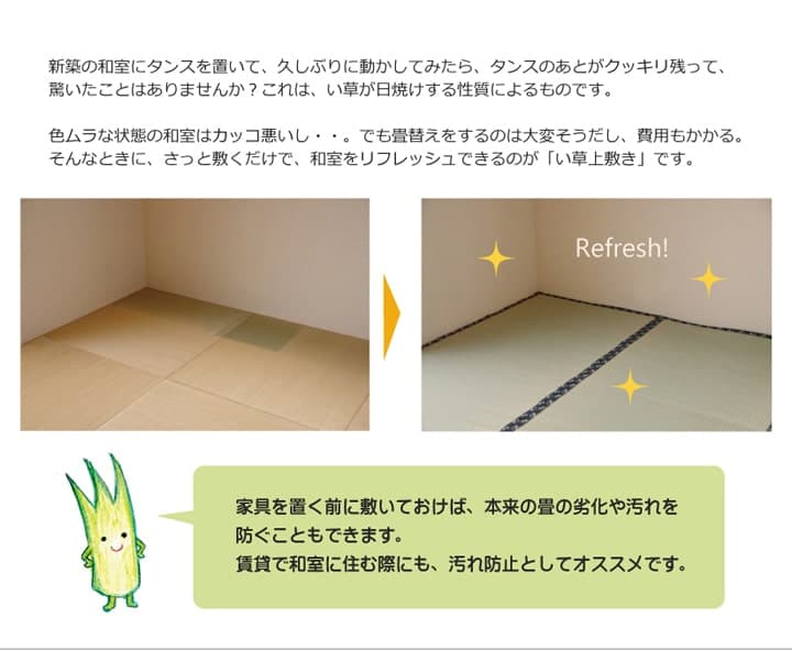 純国産い草上敷きカーペット糸引織梅花江戸間3畳約176×261cm