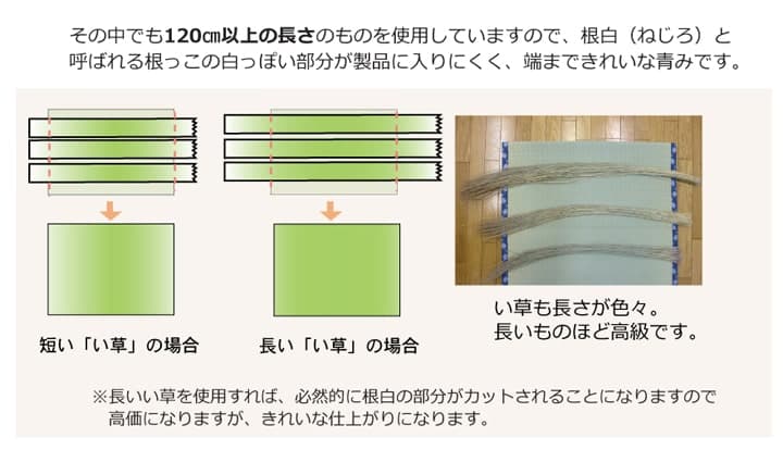純国産い草上敷きカーペット糸引織梅花江戸間3畳約176×261cm