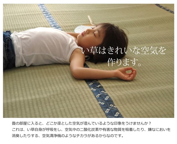 純国産い草上敷きカーペット糸引織梅花江戸間3畳約176×261cm
