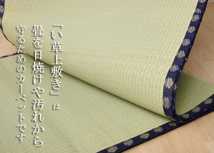 い草上敷きい草上敷はっ水カーペット無地撥水湖水江戸間4.5畳約261×261cm