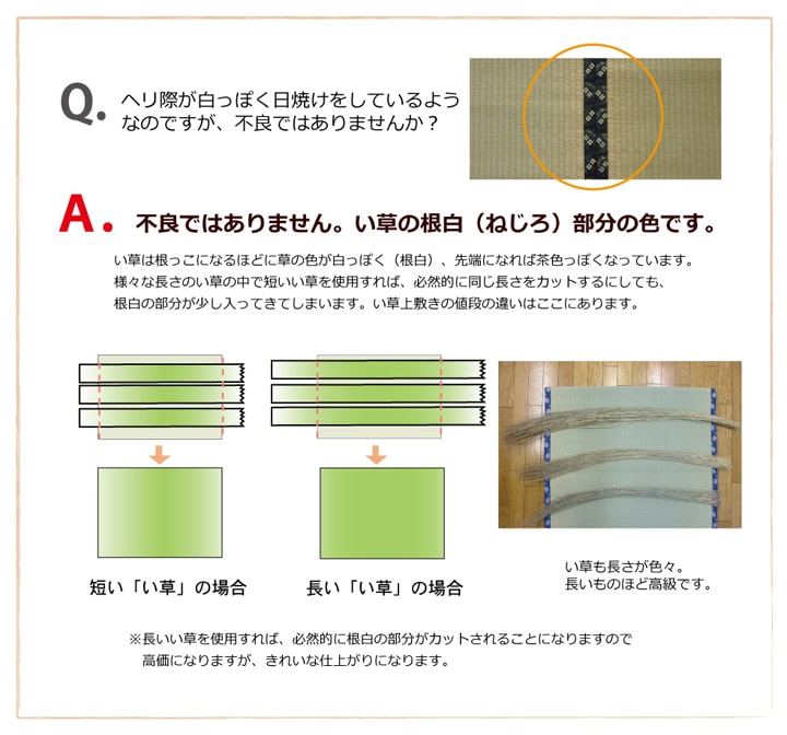 い草上敷きい草上敷はっ水カーペット無地撥水湖水江戸間4.5畳約261×261cm