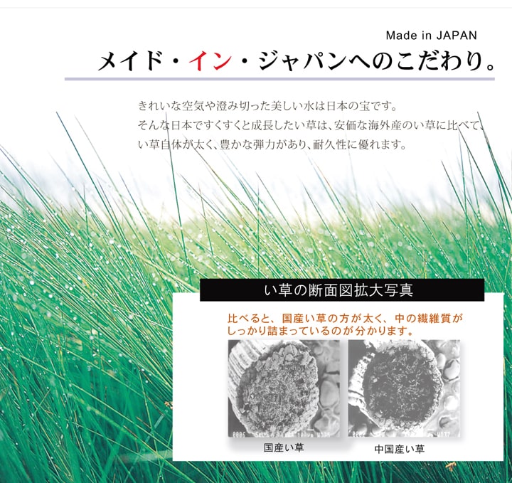 純国産い草ラグカーペットオリエンタル柄DXオーディーン約191×250cm