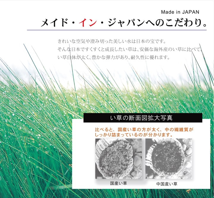 い草ラグ国産ラグカーペット約1畳長方形DX組子約95×150cm裏:不織布