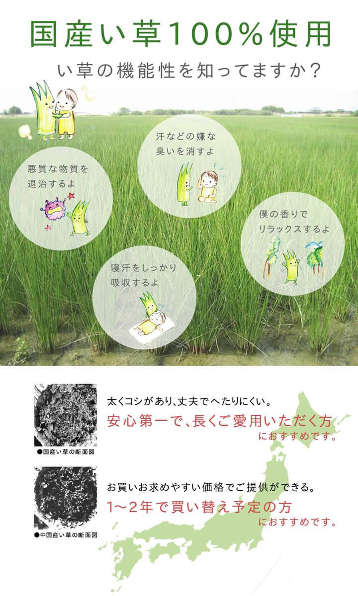 ラグ国産い草カーペットふっくらボリュームF市松和紋約191×250cm