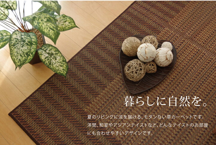 い草ラグおしゃれ国産カーペットシンプルブラウン約191×250cm