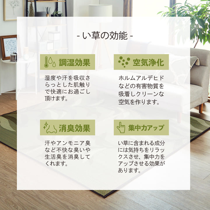 い草ラグ消臭カーペット長方形リーフ約191×300cm裏:不織布滑りにくい加工