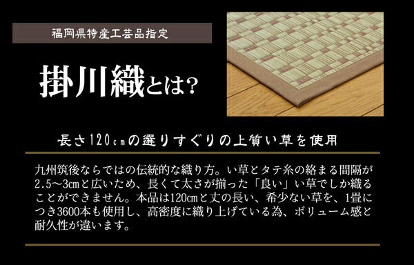 純国産掛川織い草カーペット奥丹後本間8畳約382×382cm