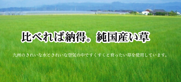 純国産掛川織い草カーペット奥丹後本間3畳約191×286cm
