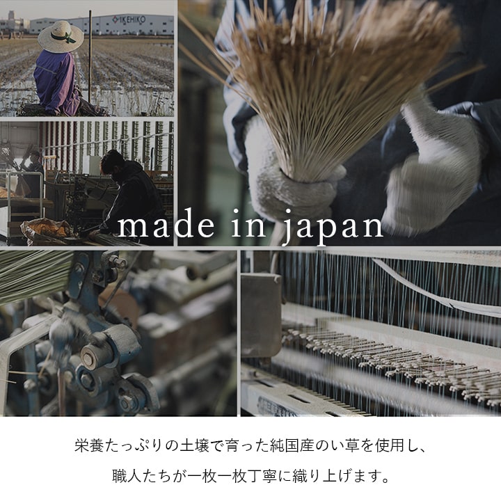 純国産い草花ござカーペットブロック江戸間1畳約87×174cm