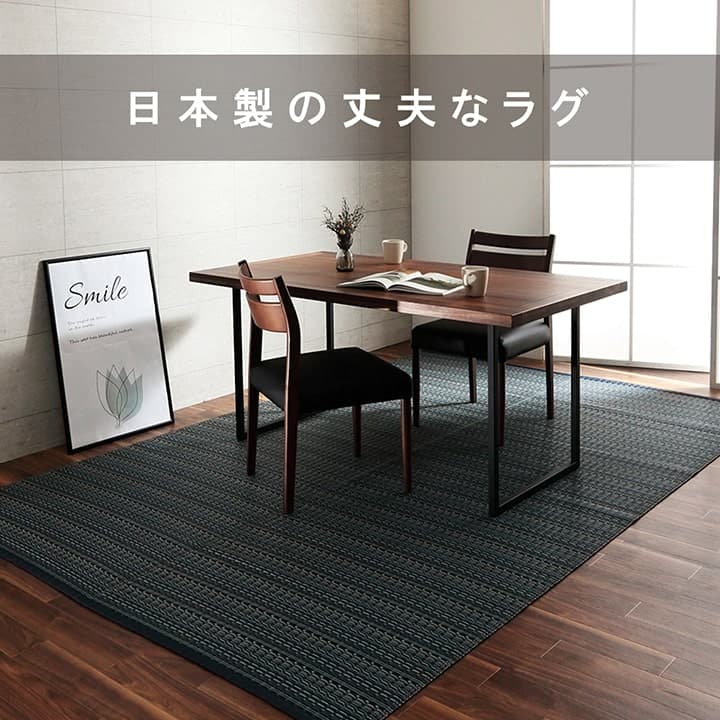 洗えるカーペットダイニングラグ敷詰丈夫日本製国産除菌スプレー対応アウトドアペット本間1畳約95.5×191cm