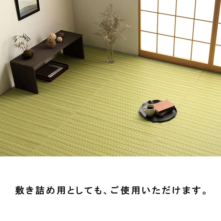 洗えるカーペットダイニングラグ敷詰丈夫日本製国産除菌スプレー対応アウトドアペット本間1畳約95.5×191cm