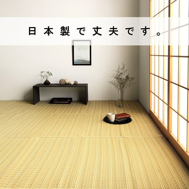 洗えるカーペットダイニングラグ敷詰丈夫日本製国産除菌スプレー対応ござアウトドアペット団地間1畳約85×170cm