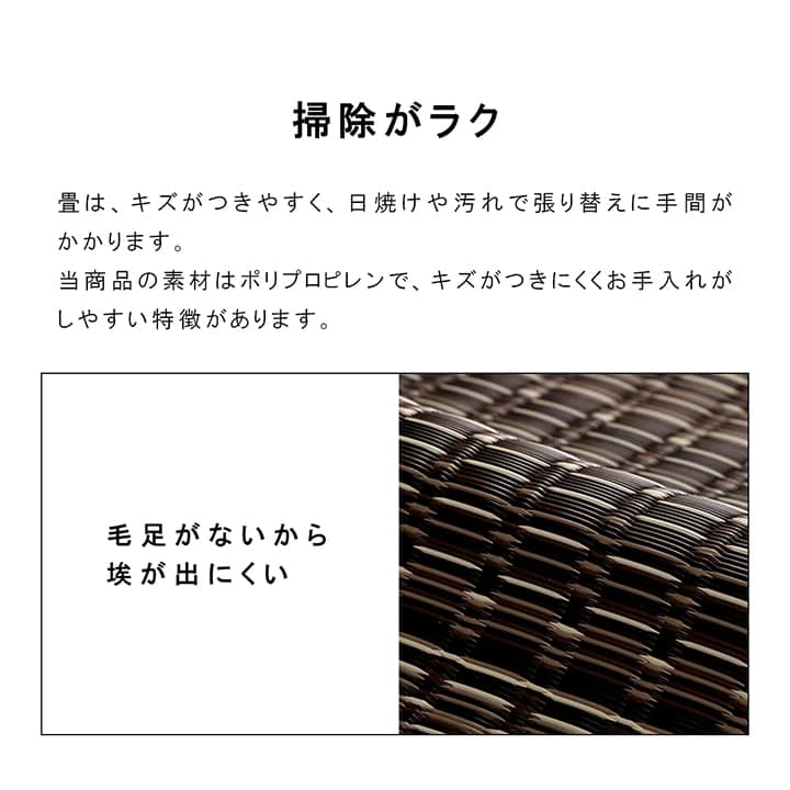 洗えるカーペットダイニングラグ敷詰丈夫日本製国産除菌スプレー対応ござアウトドアペット団地間1畳約85×170cm