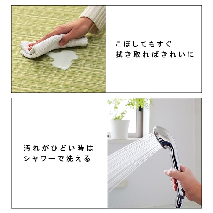 洗えるカーペットダイニングラグ敷詰丈夫日本製国産除菌スプレー対応ござアウトドアペット団地間1畳約85×170cm