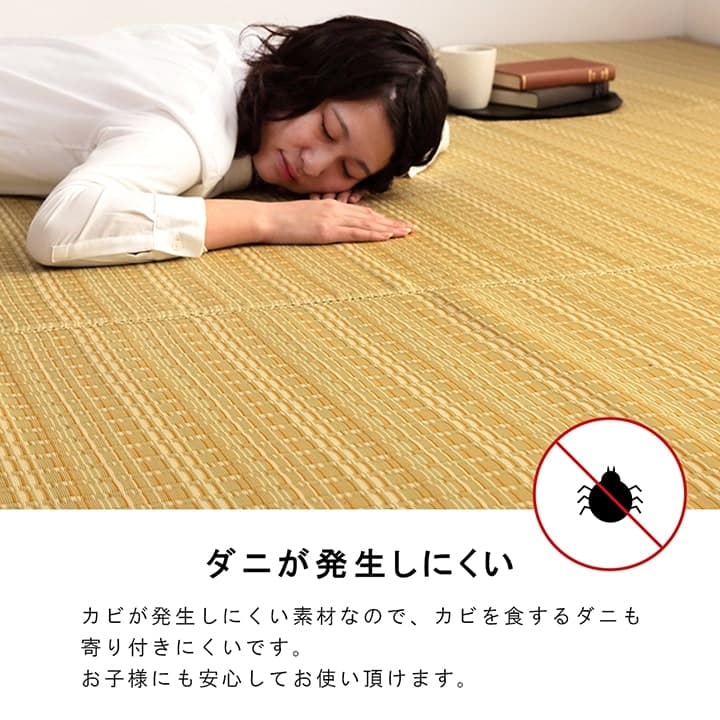 洗えるカーペットダイニングラグ敷詰丈夫日本製国産除菌スプレー対応ござアウトドアペット団地間1畳約85×170cm