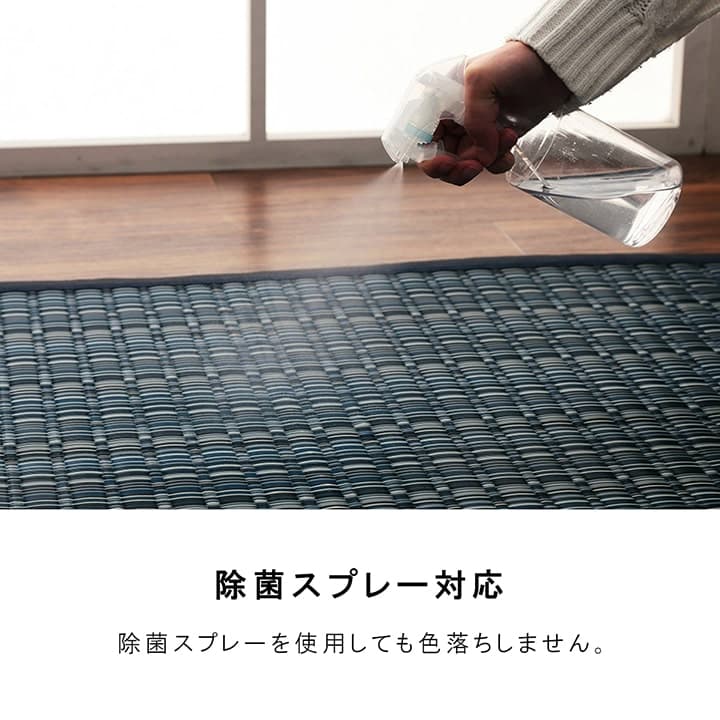 洗えるカーペットダイニングラグ敷詰丈夫日本製国産除菌スプレー対応ござアウトドアペット団地間1畳約85×170cm