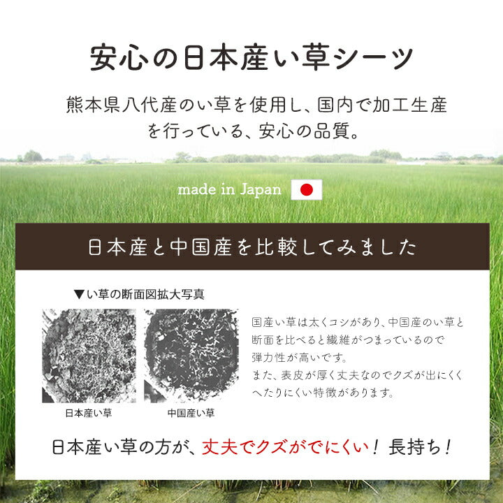 寝具シーツい草吸湿調湿効果抗菌防臭グリーン88×180cm