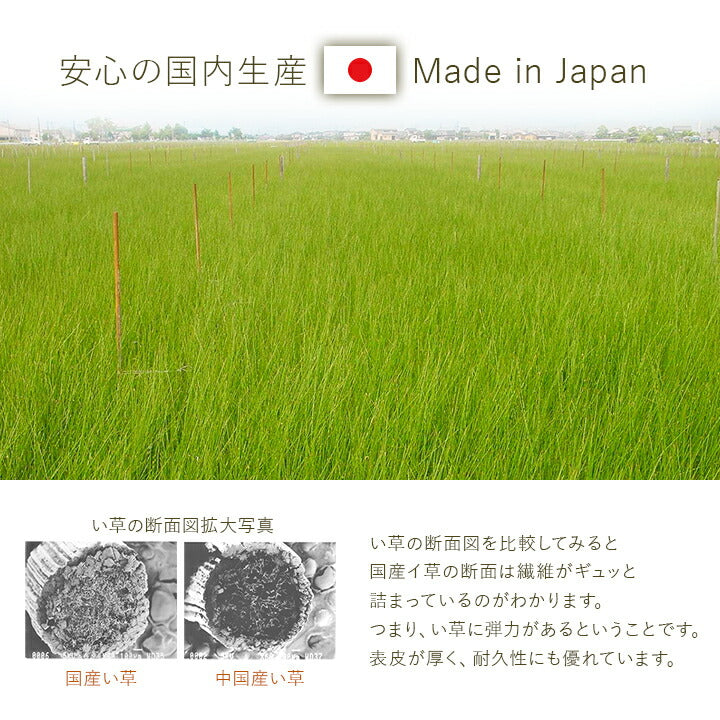 寝具シーツセミダブルい草医師との共同開発吸湿調湿効果抗菌防臭110×200cm