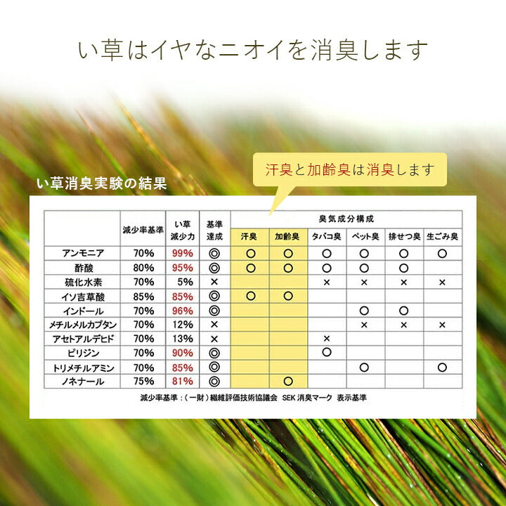寝具シーツセミダブルい草医師との共同開発吸湿調湿効果抗菌防臭110×200cm