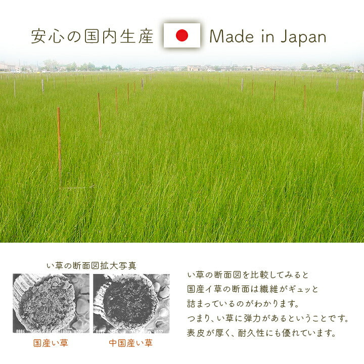 寝具マットレスベビーマットい草医師との共同開発吸湿調湿効果抗菌防臭70×120cm