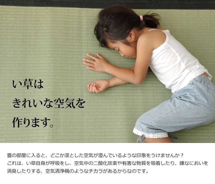純国産い草上敷きカーペット麻綿織清正江戸間8畳約352×352cm熊本県八代産イ草使用