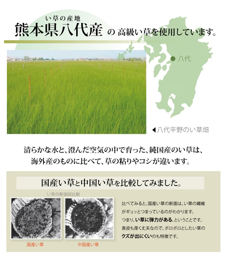 純国産い草上敷きカーペット麻綿織清正江戸間3畳約176×261cm熊本県八代産イ草使用