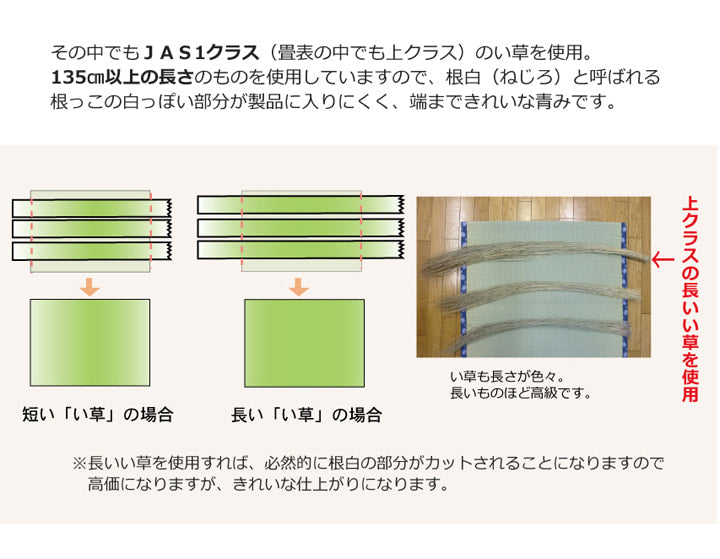 純国産い草上敷きカーペット麻綿織清正江戸間8畳約352×352cm熊本県八代産イ草使用