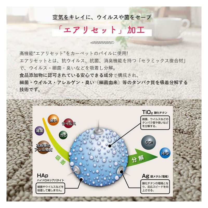 ラグ冬用冬カーペット3畳洗える日本製おしゃれ絨毯オールシーズンかわいい洗濯抗菌防臭北欧190x240防ダニ消臭ペット洗濯機国産センターラグリビングラグ可愛い北欧風リビング格安冬用ラグじゅうたん赤ちゃんサイズデザイン
