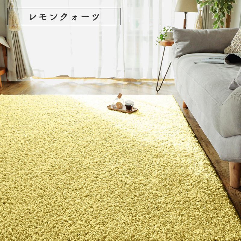 ラグ3畳カーペット冬シャギー日本製冬用防ダニ洗える洗濯機ホットカーペット防炎無地床暖房抗菌防臭子供洗濯ペット長方形おしゃれオールシーズン軽量毛足短いシンプル通年年中一人暮らし