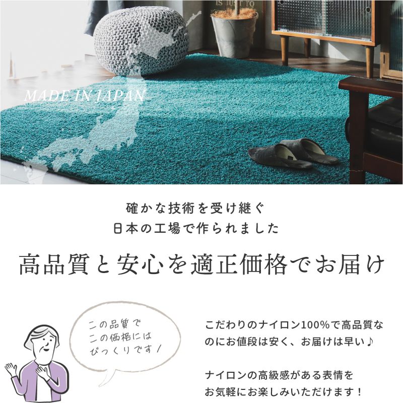 ラグ3畳カーペット冬シャギー日本製冬用防ダニ洗える洗濯機ホットカーペット防炎無地床暖房抗菌防臭子供洗濯ペット長方形おしゃれオールシーズン軽量毛足短いシンプル通年年中一人暮らし