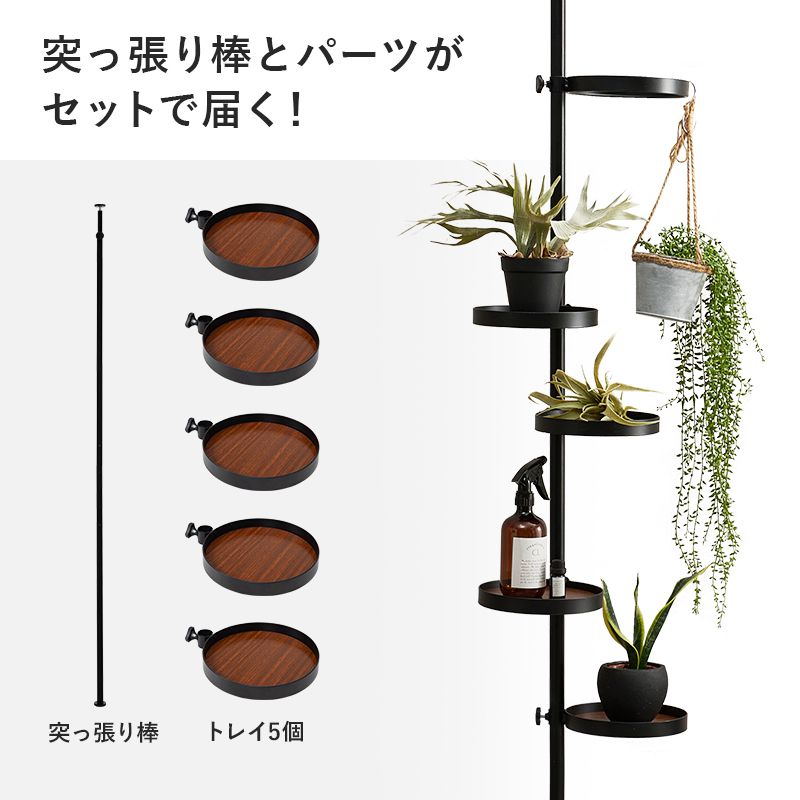 突っ張りラック突っ張り棚