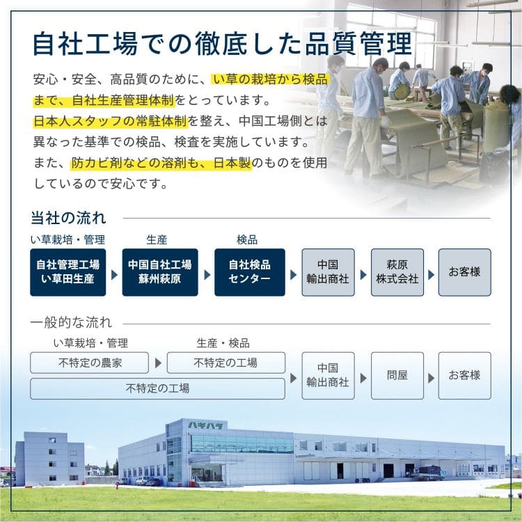 い草上敷き8畳カーペット夏江戸間リバーシブルペット対応い草カーペット抗菌防臭正方形ござ夏用ラグ上敷き畳おしゃれ花ございぐさ畳の上