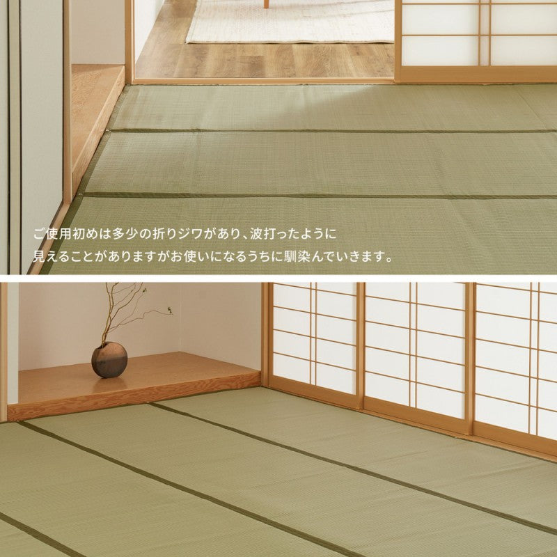 カーペットい草