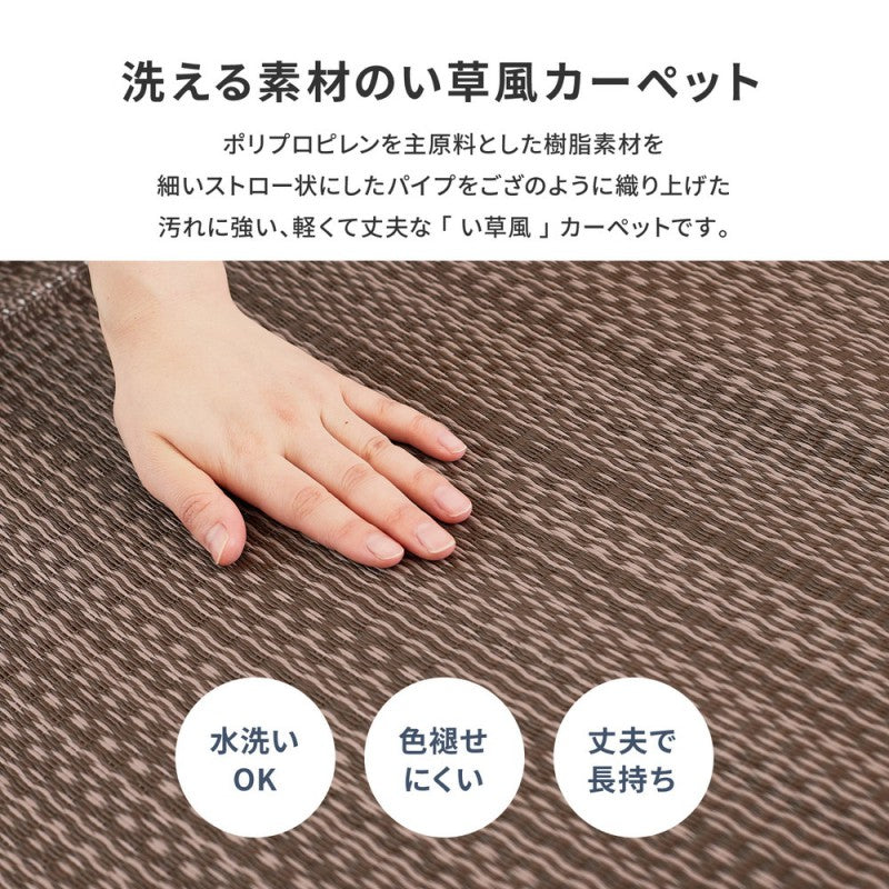 カーペットい草