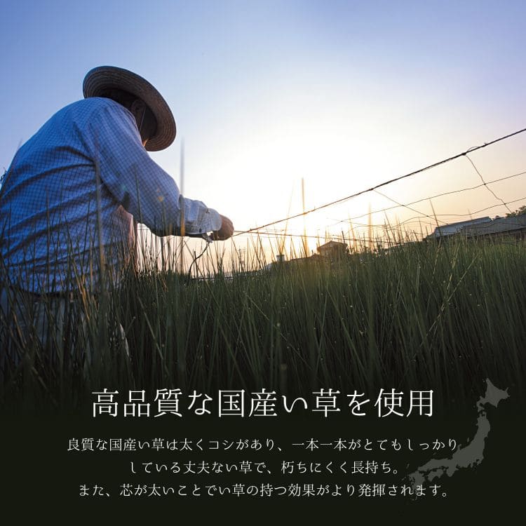 い草ラグカーペットいぐさ3畳国産裏貼りい草カーペットラグ夏用い草日本製和畳おしゃれ抗菌防臭ござ夏長方形床暖房高級天然素材