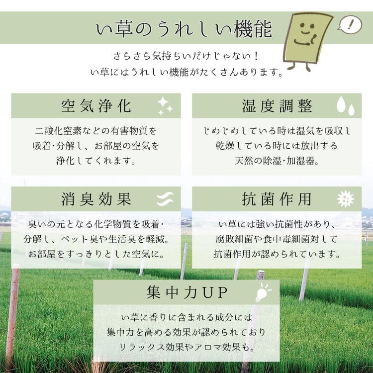 い草ラグカーペットいぐさ3畳国産裏貼りい草カーペットラグ夏用い草日本製和畳おしゃれ絨毯抗菌防臭ござ夏長方形床暖房高級天然素材ラグマットカバー拭けるペットオールシーズン涼しいじゅうたん激安安いござ井草茣蓙犬猫花ござ
