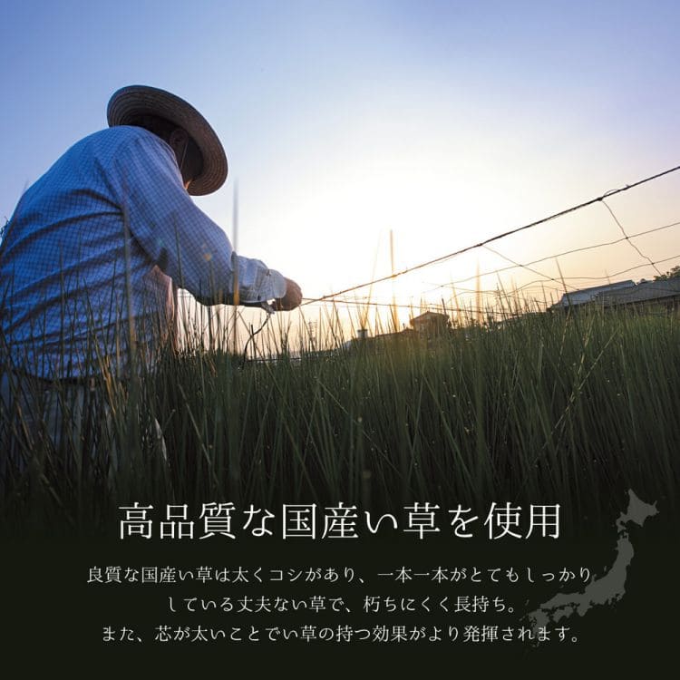 い草ラグラグいぐさ2畳国産高級上敷き花茣蓙い草カーペット夏用い草カーペットモダン和畳おしゃれ抗菌防臭ござ夏正方形日本製ラグマットカバー拭けるペットオールシーズン通年涼しい