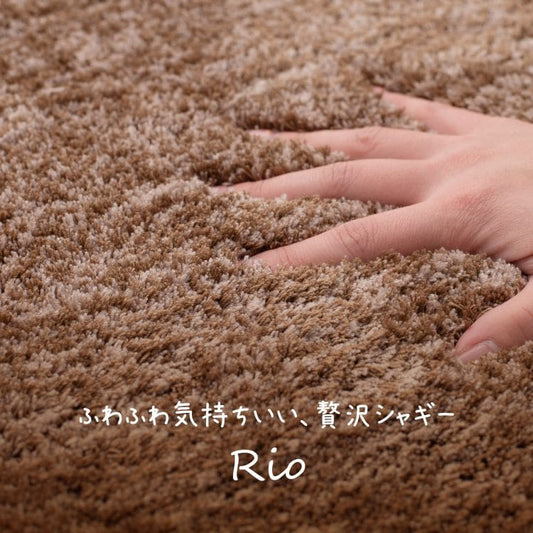 玄関マット屋内風水シャギー大判室内45×75滑り止め厚手高級感かわいい華やか小さいおしゃれ4575ラグ玄関北欧ふわふわ無地グリーン新生活業務用靴置き場夏開運厚手上品華やか絨毯マット