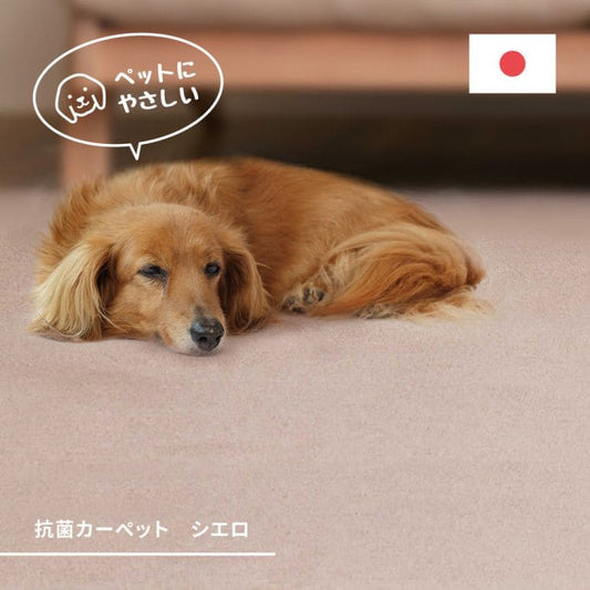 ラグカーペット冬江戸間6畳長方形丸巻きペット日本製ホットカーペット床暖房冬用毛足短いパイル国産抗菌防臭軽量薄手子供部屋おしゃれオールシーズンリビング一人暮らし年中夏冬兼用格安お洒落