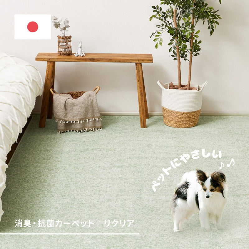 カーペット