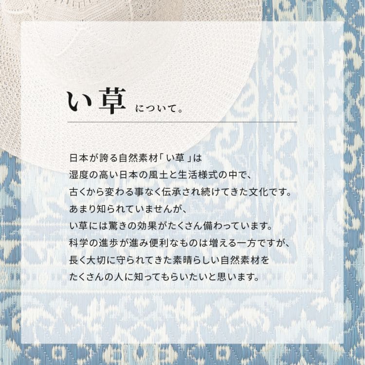 い草ラグ